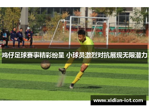鸡仔足球赛事精彩纷呈 小球员激烈对抗展现无限潜力