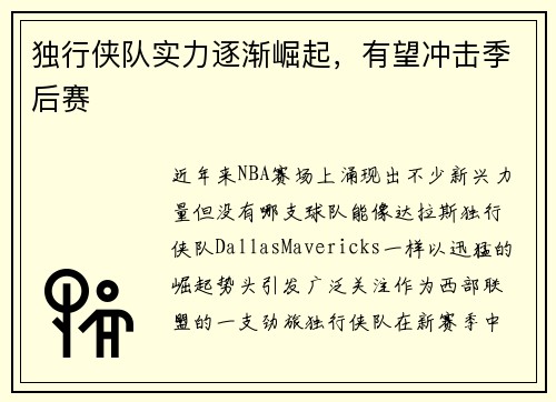 独行侠队实力逐渐崛起，有望冲击季后赛